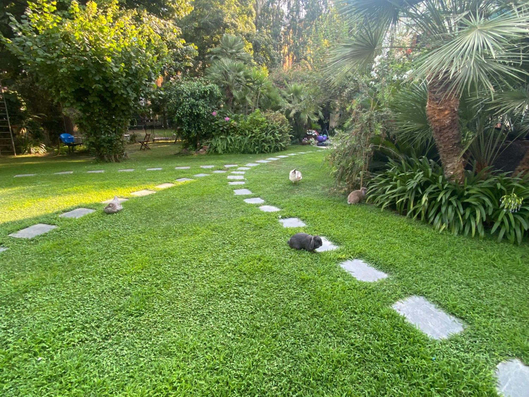 Villa Angelina Casa Limone Vallecrosia Exterior photo